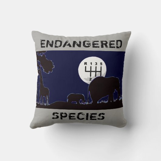 マニュアル – 日/夜 クッション (裏面)