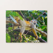 マニュエル・アントニオNPのリス猿 – コスタリカ ジグソーパズル (横)