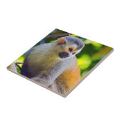 マニュエル・アントニオNPのリス猿 – コスタリカ タイル (側面)