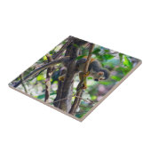 マニュエル・アントニオNPのリス猿 – コスタリカ タイル (側面)