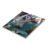 マニュエル・アントニオNPのリス猿 – コスタリカ タイル (側面)