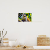 マニュエル・アントニオNPのリス猿 – コスタリカ ポスター (キッチン)