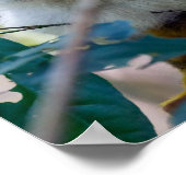 マニュエル・アントニオNPのリス猿 – コスタリカ ポスター (角)