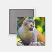 マニュエル・アントニオNPのリス猿 – コスタリカ マグネット (正面/裏面)