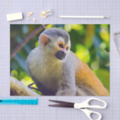 マニュエル・アントニオNPのリス猿 – コスタリカ 薄葉紙 (クラフト)