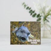 マニラ海パーク ポストカード (スタンド正面)