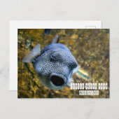 マニラ海パーク ポストカード (正面/裏面)