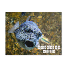 マニラ海パーク