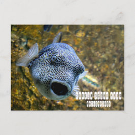 マニラ海パーク ポストカード