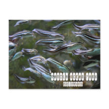 マニラ海パーク