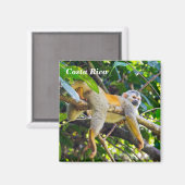 マヌエル・アントニオ国立公園のコスタリカのスリちゃん猿 マグネット (正面/裏面)