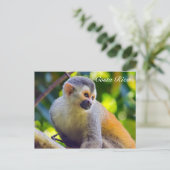 マヌエル・アントニオ国立公園のコスタリカのリスザル ポストカード (スタンド正面)