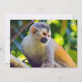 マヌエル・アントニオ国立公園のコスタリカのリスザル 招待状