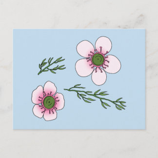 マヌカの花 ポストカード