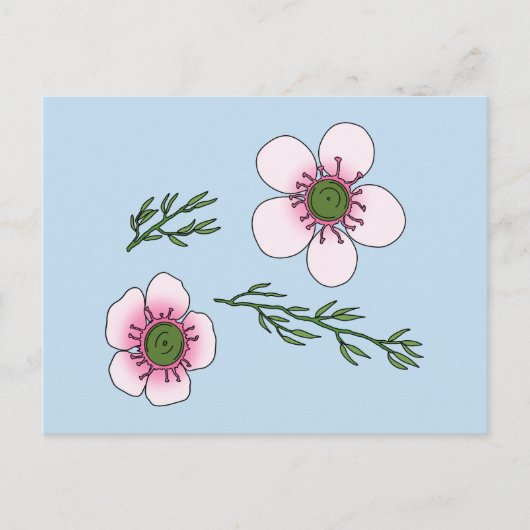 マヌカの花 ポストカード (正面)