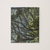 マヌカツリーフォレストニュージーランド ジグソーパズル (縦)