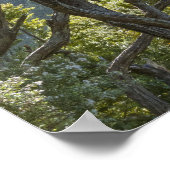 マヌカツリーフォレストニュージーランド ポスター (角)