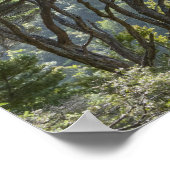 マヌカツリーフォレストニュージーランド ポスター (角)