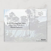 マヌカ低木とビーチ、スチュワート島 ポストカード (裏面)