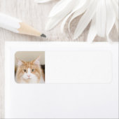 マヌクーン3 ラベル (インサイチュ)