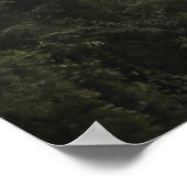 マヌ国立公園 ポスター (角)