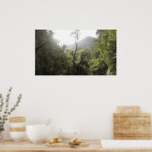 マヌ国立公園 ポスター (キッチン)