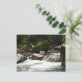 マヌ国立公園 ポストカード (スタンド正面)