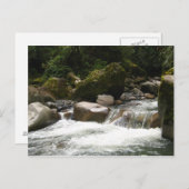 マヌ国立公園 ポストカード (正面/裏面)