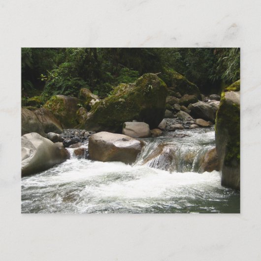 マヌ国立公園 ポストカード (正面)