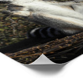 マネキン・チャレンジ・レムルス ポスター (角)