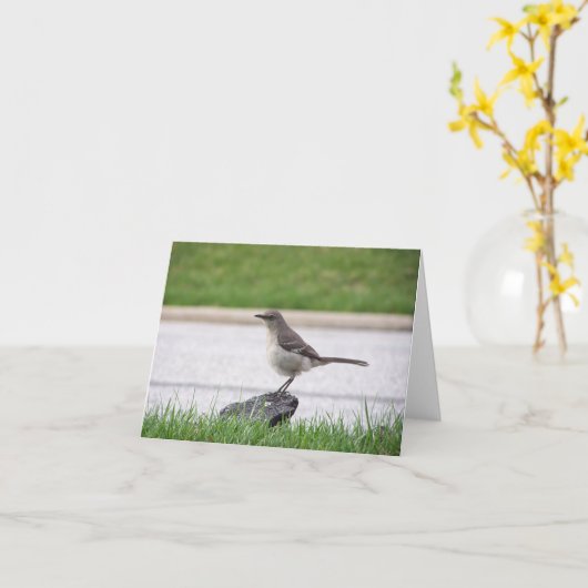 マネシツグミ カード (黄色い花)