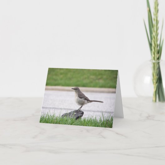 マネシツグミ カード (正面)