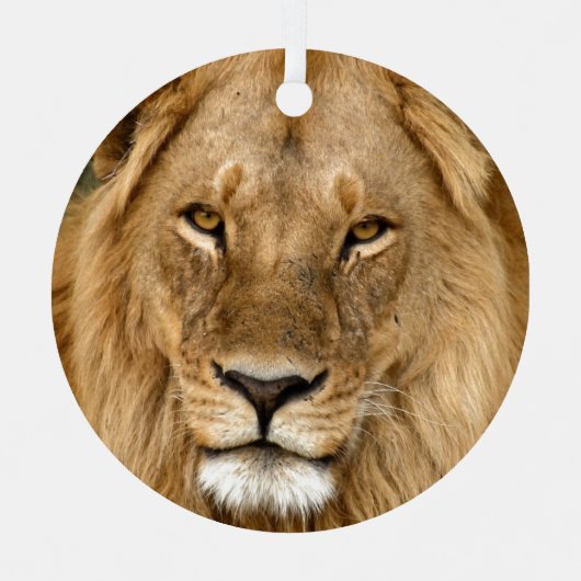 マネセラミック素晴らしオーナメント付きライオン メタルオーナメント (正面)