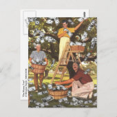 マネーツリーはがき ポストカード (正面/裏面)