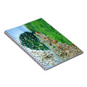 マネーツリースパイラルノート ノートブック (右側)