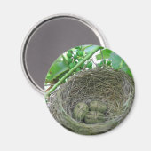 マネーネスト・エッグ マグネット (正面/裏面)