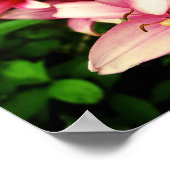 マネーメイカーリリー ポスター (角)