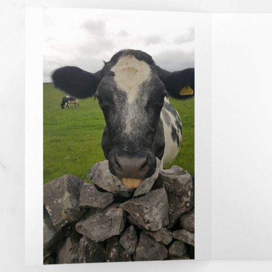 マネー誕生日カード – お金を折のまわりにりたたむ 三つ折り案内状 (内部最初)