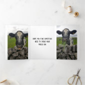 マネー誕生日カード – お金を折のまわりにりたたむ 三つ折り案内状 (内部)