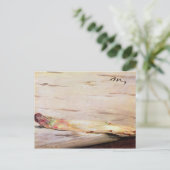 マネ | Asparagus, 1880 ポストカード (スタンド正面)