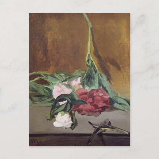 マネ | Stem of Peonies and Secateurs, c.1864 ポストカード (正面)