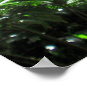 マノアストリームベッド ポスター (角)