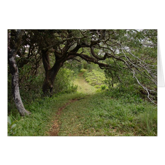 マノアバレーの上 (正面横)