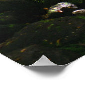 マノアバレーストリーム ポスター (角)