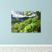 マノアバレー、オアフ、ハワイ キャンバスプリント (インサイチュ (ウッドフロア))