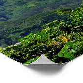 マノアバレー ポスター (角)