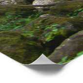 マノア秋、オアフ、ハワイ ポスター (角)