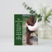 マハトマガンジーの動物引用文 ポストカード (スタンド正面)