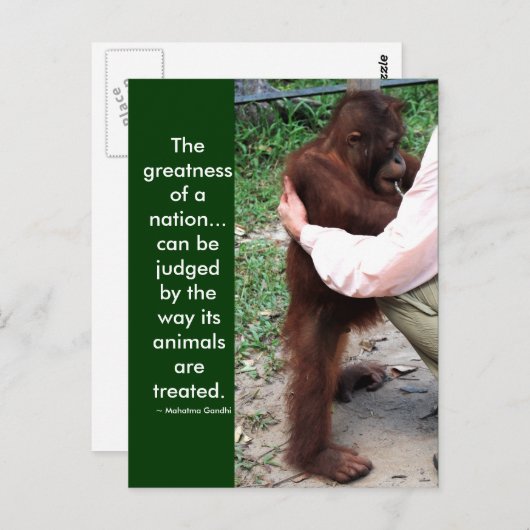 マハトマガンジーの動物引用文 ポストカード (正面/裏面)
