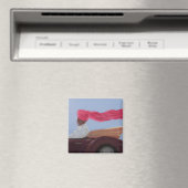 マハラジャアットスピード マグネット (インサイチュ (食洗機))